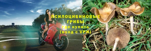 экстази Алексин