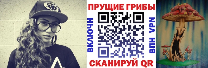 ссылка на мегу вход  Анива  Галлюциногенные грибы ЛСД  купить наркотик 